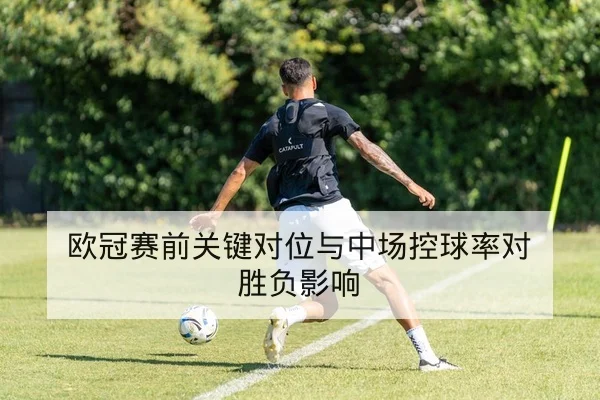 足球球员伤病恢复进度与复出概率查询