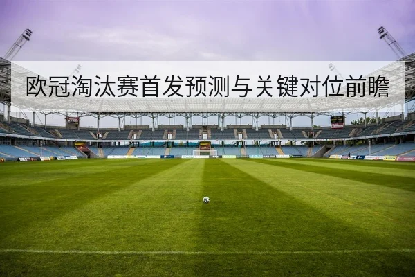 足球球员伤病恢复进度与复出概率查询